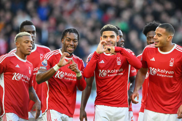 他与其他球 他与其他球